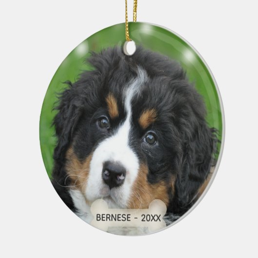 Aangepaste Berner Mountain Dog Foto Keramisch Ornament (Links)