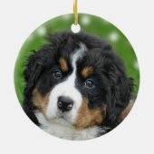 Aangepaste Berner Mountain Dog Foto Keramisch Ornament (Achterkant)