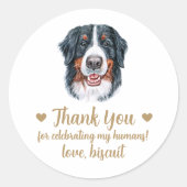 Aangepaste Berner Sennenhond Huwelijksgunst Sticke Ronde Sticker (Voorkant)
