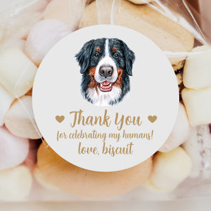 Aangepaste Berner Sennenhond Huwelijksgunst Sticke Ronde Sticker