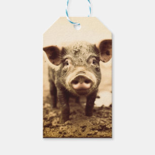 Aangepaste Biggen & Kusjes Modderige Biggetjes Boe Cadeaulabel