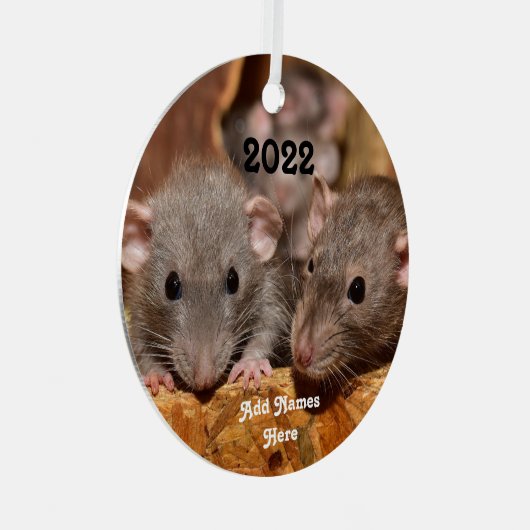 Aangepaste blauwe grijze dumbo Pet Ratten Metalen Ornament (Voorkant Rechts)