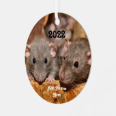 Aangepaste blauwe grijze dumbo Pet Ratten Metalen Ornament (Voorkant links)