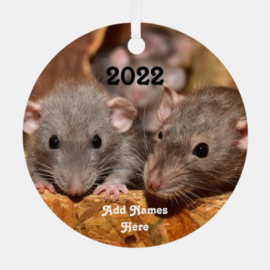 Aangepaste blauwe grijze dumbo Pet Ratten Metalen Ornament (Achterkant)