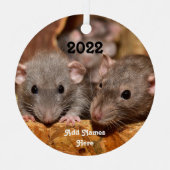 Aangepaste blauwe grijze dumbo Pet Ratten Metalen Ornament (Voorkant)