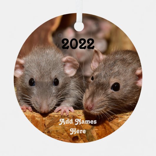 Aangepaste blauwe grijze dumbo Pet Ratten Metalen Ornament (Voorkant)