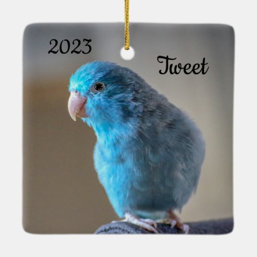 Aangepaste Blauwe Parrotlet Bird Keramisch Ornament (Achterkant)