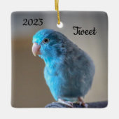 Aangepaste Blauwe Parrotlet Bird Keramisch Ornament (Voorkant)