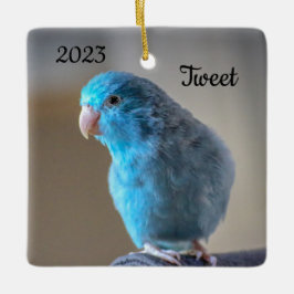 Aangepaste Blauwe Parrotlet Bird Keramisch Ornament