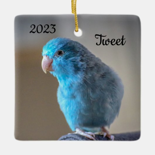 Aangepaste Blauwe Parrotlet Bird Keramisch Ornament (Voorkant)