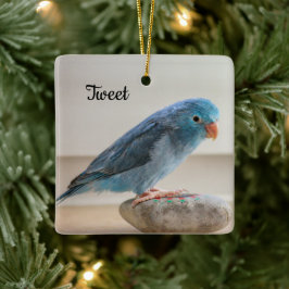 Aangepaste Blauwe Parrotlet Bird Keramisch Ornament