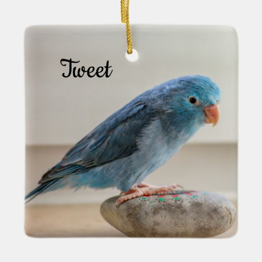 Aangepaste Blauwe Parrotlet Bird Keramisch Ornament (Voorkant)