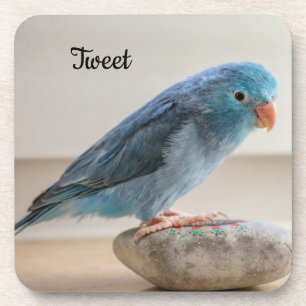 Aangepaste blauwe parrotlet Pet Bird Bier Onderzetter