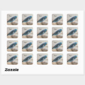 Aangepaste blauwe parrotlet Pet Bird Vierkante Sticker (Vel)