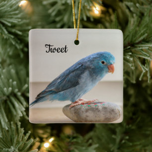 Aangepaste blauwe parrotlet-vogel keramisch ornament