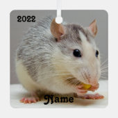 Aangepaste blauwe roan Pet Rat Keramisch versierin Metalen Ornament (Voorkant)