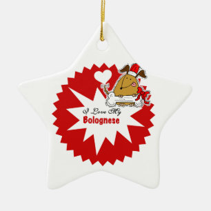 Aangepaste Bolognese Keepomwille Ornament