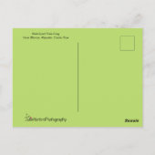 Aangepaste boomkikker briefkaart (Achterkant)