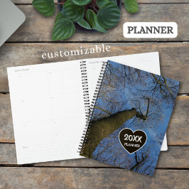 Aangepaste boomkroon takken op blauwe lucht foto - planner