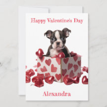 Aangepaste Boston Terrier Box Folie Hearts Valenti