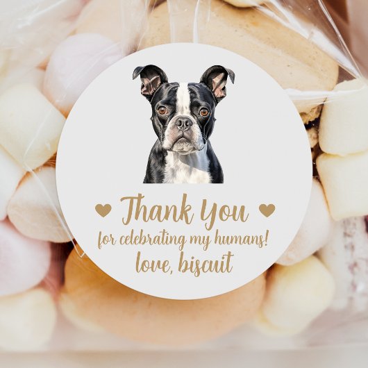 Aangepaste Boston Terrier Wedding Favoriet Sticker