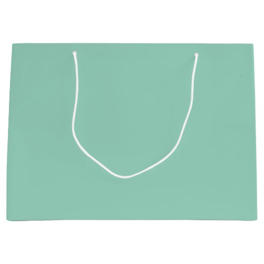 Aangepaste Branded Witte Gift Bag | Groot Glanzend Groot Cadeauzakje (Voorkant)