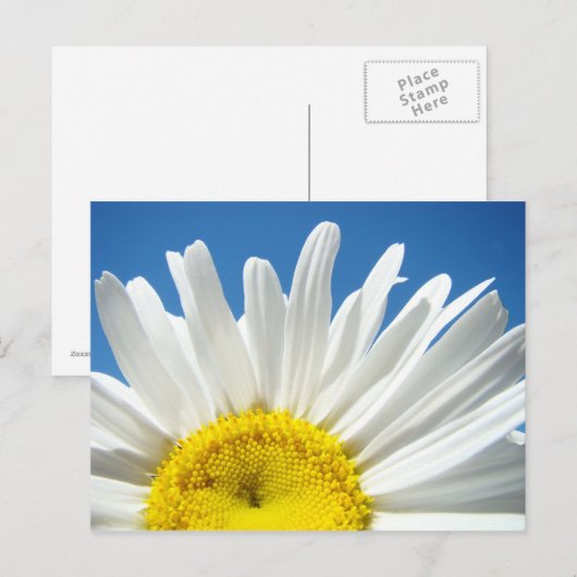 Aangepaste briefkaarten voor Daisy Flower Voeg je  (Voorkant / Achterkant)