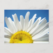 Aangepaste briefkaarten voor Daisy Flower Voeg je  (Voorkant)