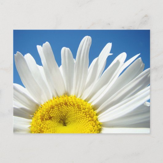 Aangepaste briefkaarten voor Daisy Flower Voeg je  (Voorkant)