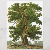 Aangepaste brochure voor  eikenstructuur (Voorkant)