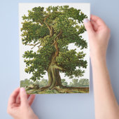 Aangepaste brochure voor  eikenstructuur (Hand)