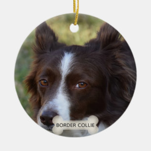 Aangepaste bruine rand Collie Dog Foto Keramisch Ornament