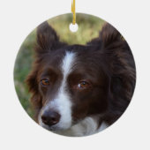 Aangepaste bruine rand Collie Dog Foto Keramisch Ornament (Achterkant)
