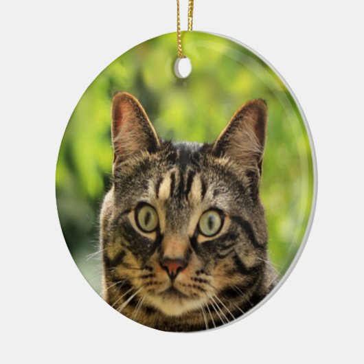 Aangepaste bruine Tabby Cat foto Keramisch Ornament (Links)