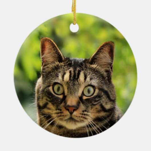Aangepaste bruine Tabby Cat foto Keramisch Ornament (Achterkant)