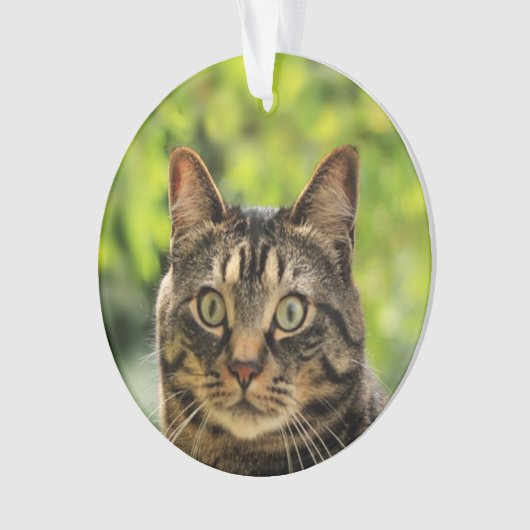 Aangepaste bruine Tabby Cat foto Ornament (voorkant)