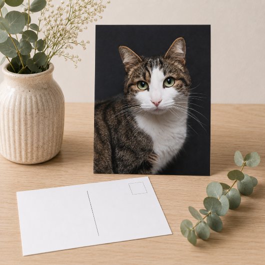 Aangepaste Bruine Tabby Kat Enkele Huisdier Foto Briefkaart