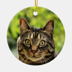 Aangepaste bruine tabby kat foto keramisch ornament