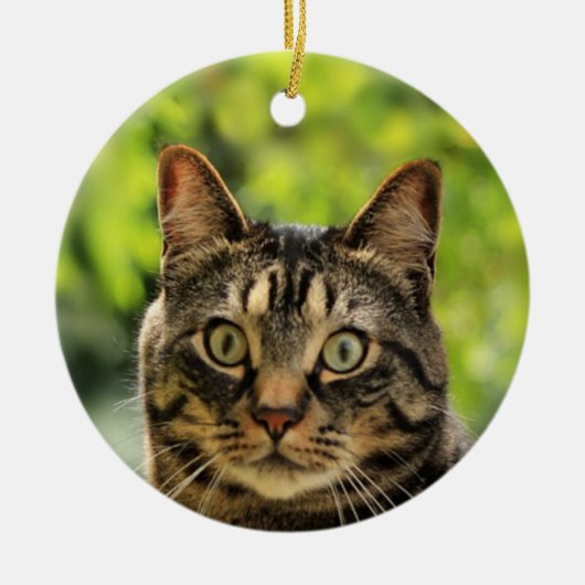 Aangepaste bruine tabby kat foto keramisch ornament (Voorkant)