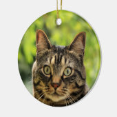 Aangepaste bruine tabby kat foto keramisch ornament (Links)