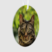 Aangepaste bruine tabby kat foto ornament (voorkant)