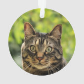 Aangepaste bruine tabby kat foto ornament (achterkant)