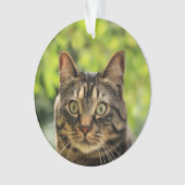 Aangepaste bruine tabby kat foto ornament (voorkant)