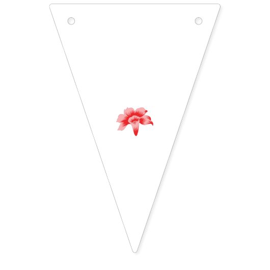 Aangepaste Bunting Flags | Foto & feestdecor Vlaggetjes (Tweede vlag)