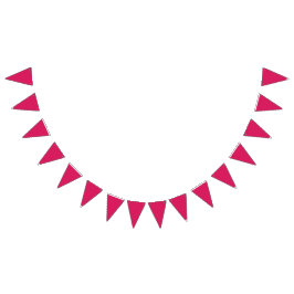 Aangepaste Bunting Flags | Party & Event Decor Vlaggetjes