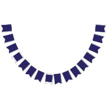 Aangepaste Bunting Flags | Party & Event Decor