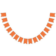 Aangepaste Bunting Flags | Verjaardag & foto