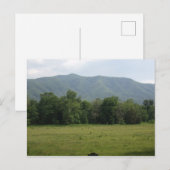 Aangepaste Cades Cove Briefkaarten (Voorkant / Achterkant)