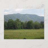 Aangepaste Cades Cove Briefkaarten (Voorkant)