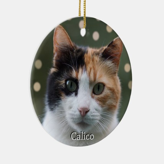 Aangepaste Calico Cat foto gepersonaliseerd Keramisch Ornament (Rechts)
